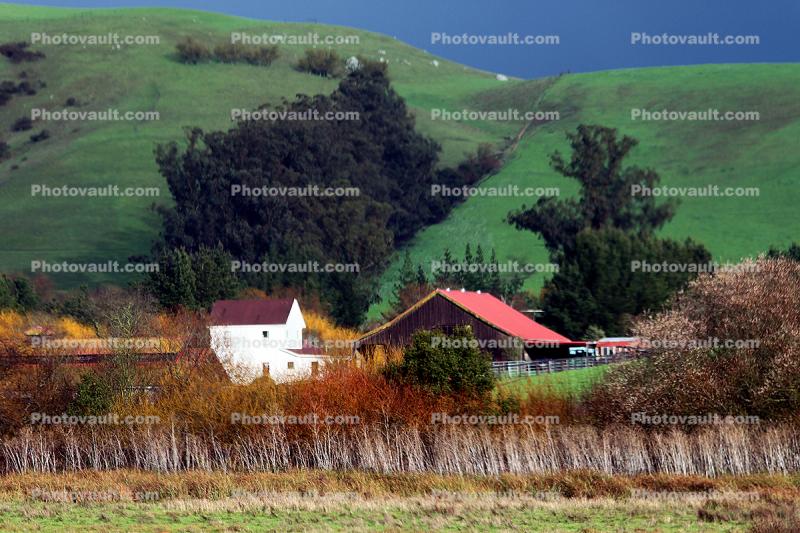 Barn, Home, House, Two-Rock, Sonoma County