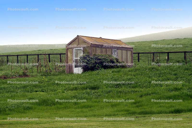 Shed, Fence, Grass, Fields, Hills, Two-Rock, Sonoma County