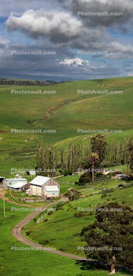 Maring County, green hills, barn, trees, dirt road, buildings, clouds, Panorama