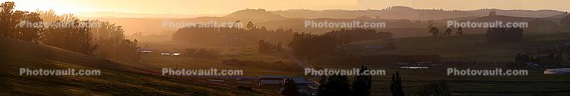 Sonoma County, Panorama, Evening in Bloomfield Valley