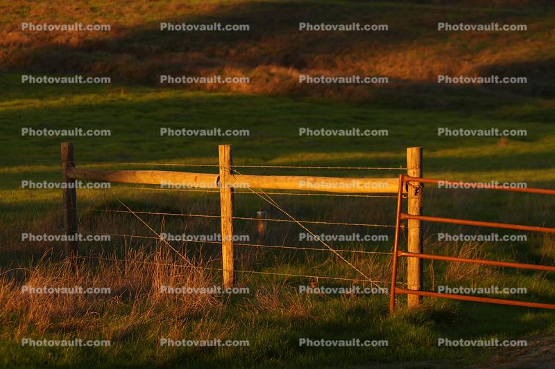 Fence, Sonoma County, Two-Rock
