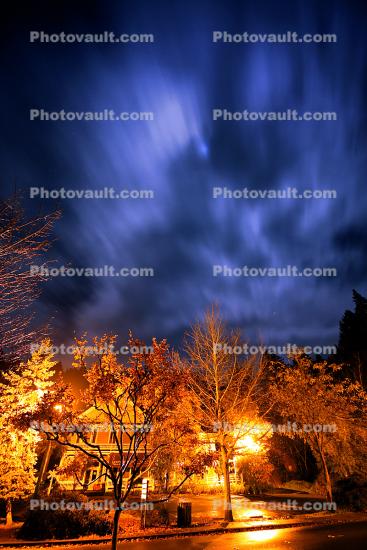 Moon Glow over Downtown Occidental, Bohemian Highway, night, nighttime, trees