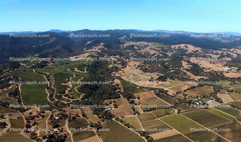 farmfields, vineyards, Windsor, Sonoma County