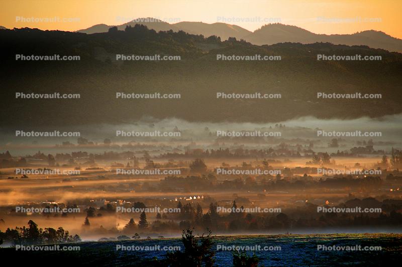 Early Morning Fog Over Rohnert Park and Cotati