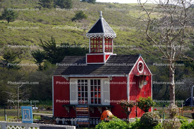 Little Red House