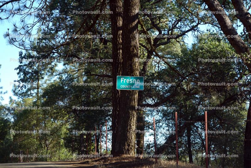 Fresno County Line, Parkfield Grade road, trees, rural