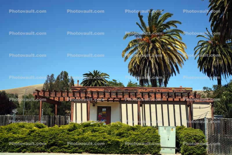 Palm Trees over a House, Building, California State Route 25, Tres Pinos