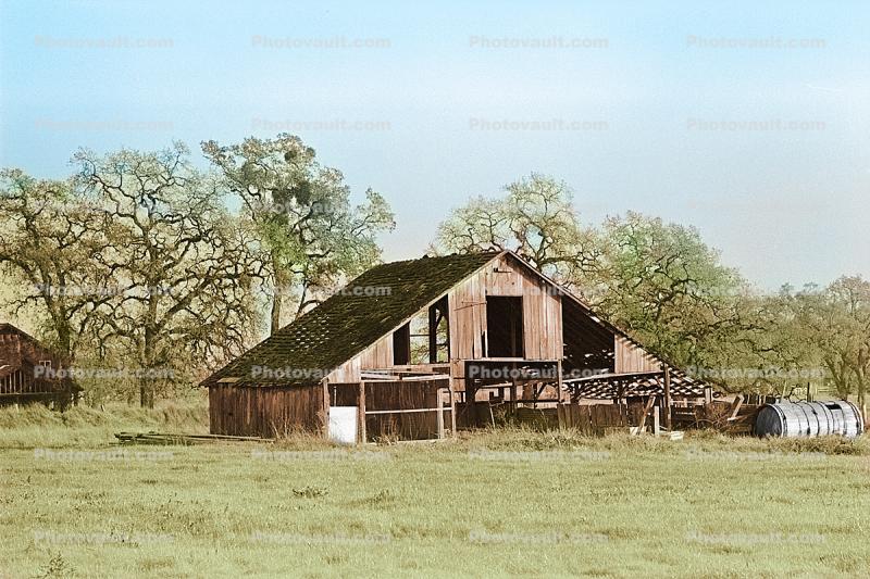 Old Barn, Sebastopol, Sonoma County