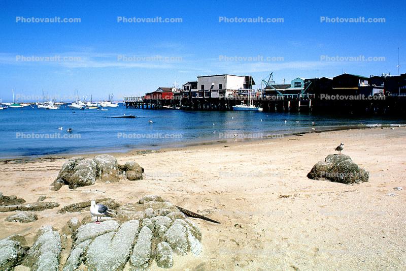 Pier and Beach at Old Fishermans Wharf, Monterey