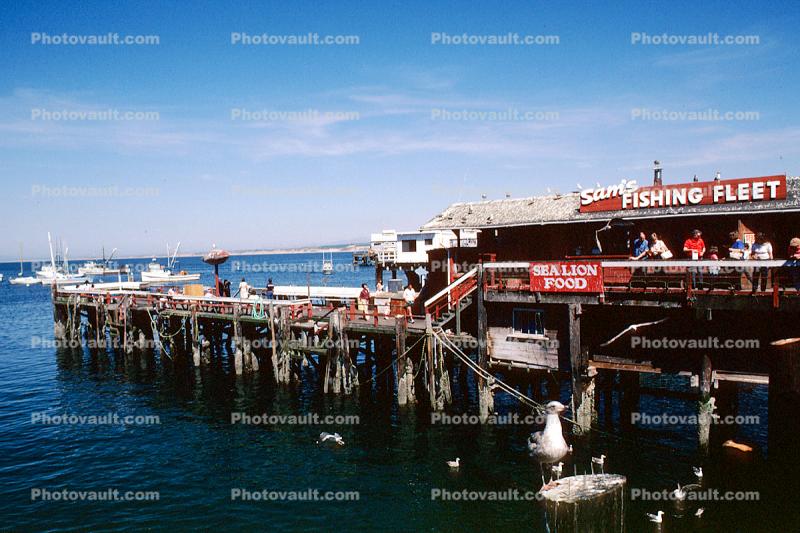 Old Fishermans Wharf, Monterey, Pier