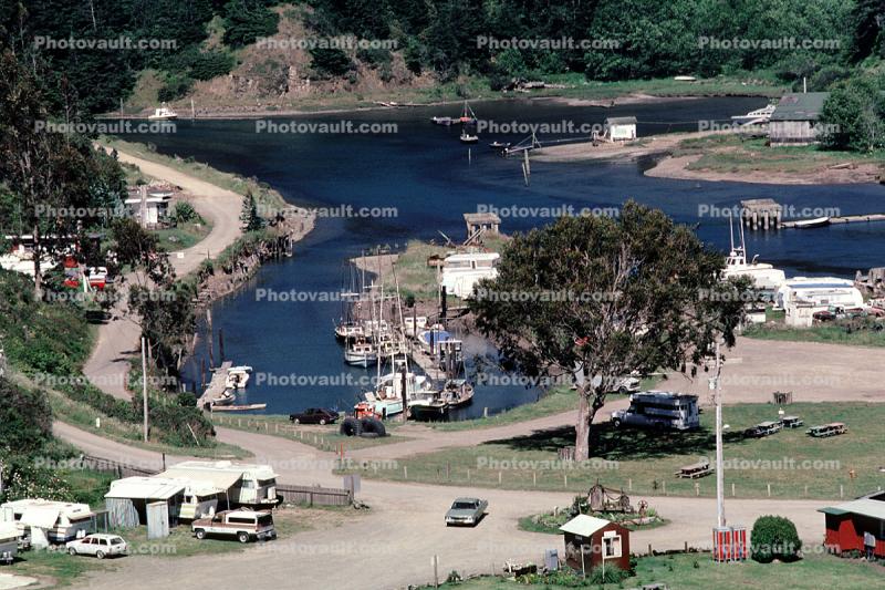 Trees, Dock, Harbor, Albion River, Mendocino County, 12 May 1986