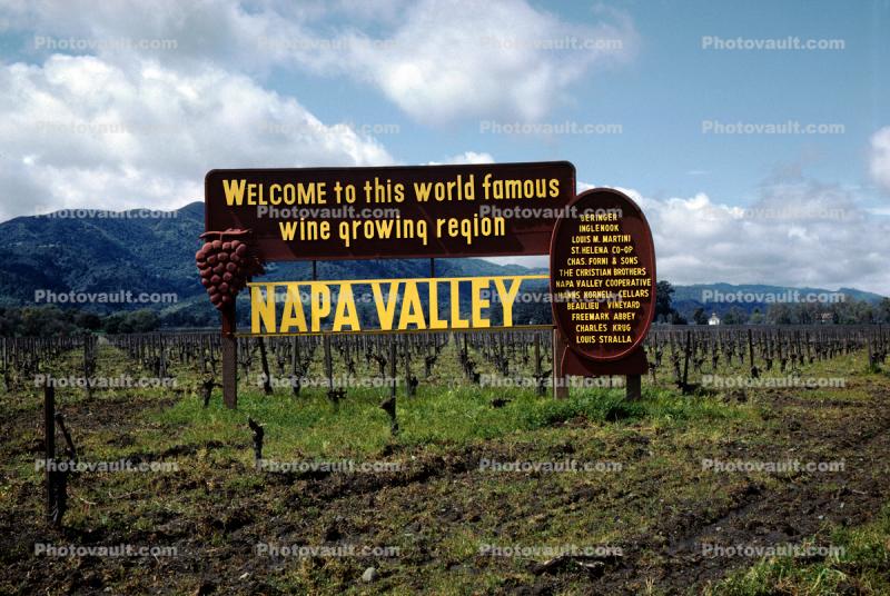 Welcome to this world famous wine growing region, and the wine is bottled poetry, Napa Valley, 1963, 1960s