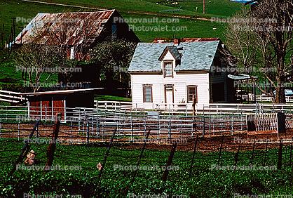 Farm, Barn, House, Home, Building, Fence, shed