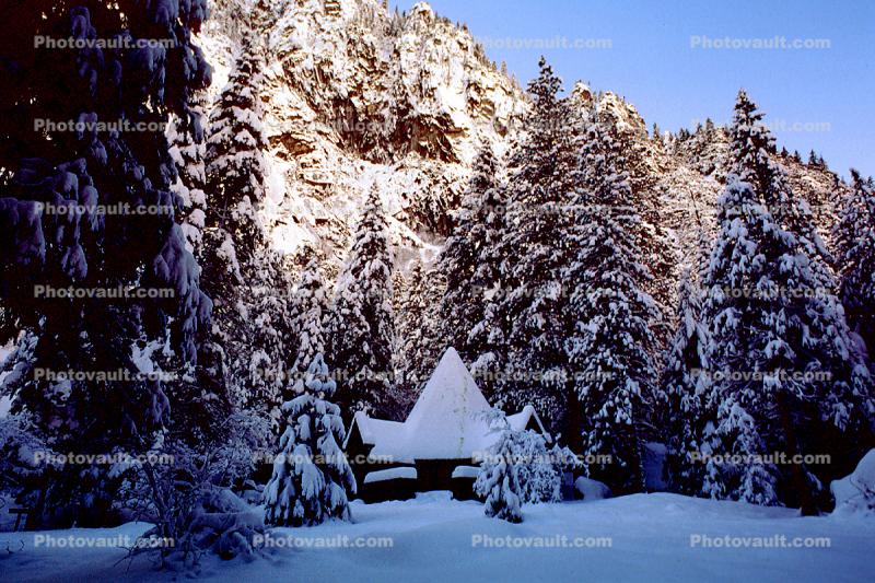 Yosemite Chapel, snow, tree, Ice, Icy, Winter, Historic Building, Landmark