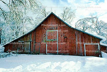 snow, tree, Ice, Cold, Frozen, Icy, Winter, red barn, Mariposa County