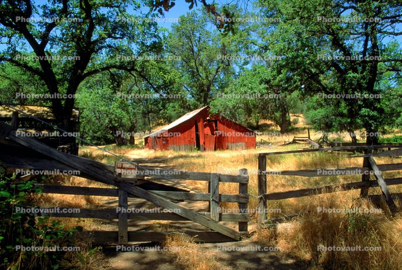 Barn, Fence, Gate, Trees, summer, hot day, sunny, dry, outdoors, outside, exterior, rural, building