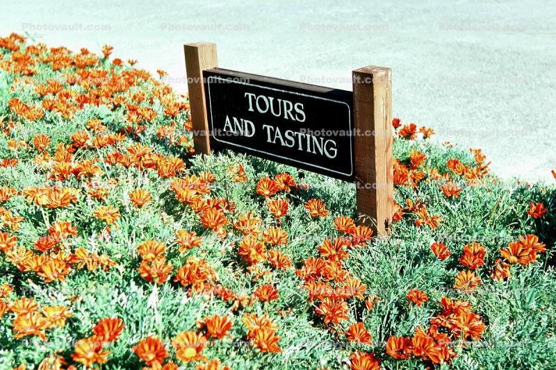 Tours and Tasting, Franciscan Winery, Napa Valley, 1978, 1970s