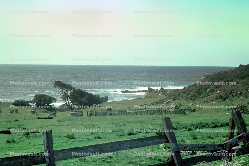 north of, Bodega Bay, Sonoma County, Pacific Ocean, 1978, 1970s