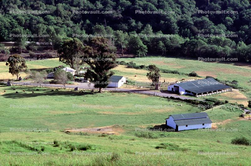 Barns, Ranch Compound, Buildings, The Lost Coast, Humboldt County