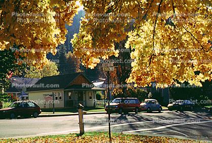 Quincy, autumn, Plumas County