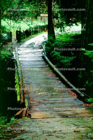 wooden bridge, Mill Valley, Marin County