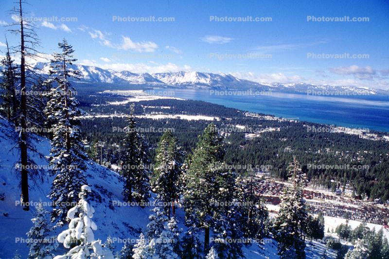 Forest, snow, trees, mountains, South Lake Tahoe