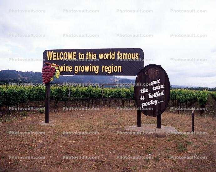 Napa Valley, Welcome to this world famous wine growing region