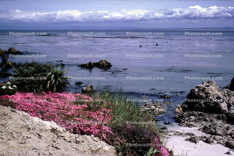 Pacific Grove, Monterey Bay, June 1967, 1960s