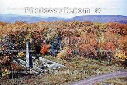 autumn, Abandoned Home Lot, site, trees