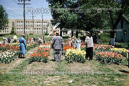Garden, 1940s
