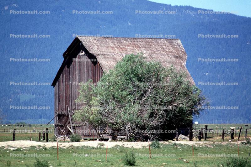trees, barn, outdoors, outside, exterior, rural, building