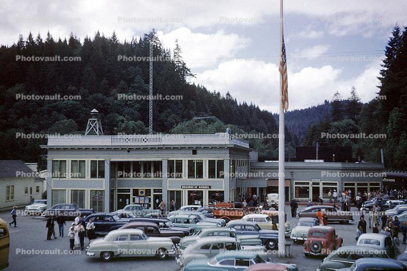 brizzards of korbel, parked Cars, automobile, vehicles, 1950s