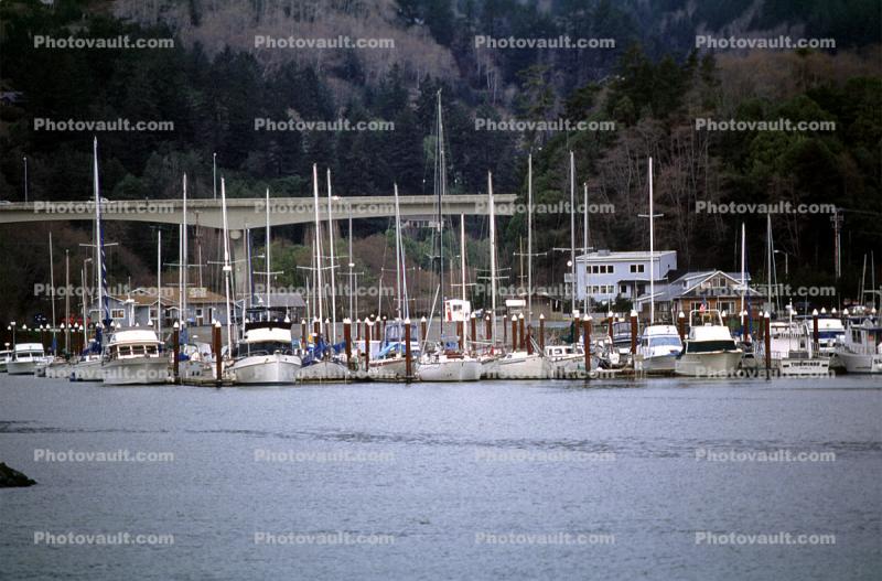 Docks at Gold Beach, Curry County, Rogue River