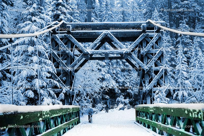 Old Wooden Bridge, Nisqually River wooden Suspension Bridge, Longmire village, Mount Rainier National Park, Equanimity