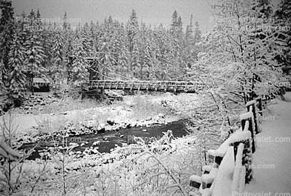 Nisqually River wooden Suspension Bridge, Longmire village, Mount Rainier National Park, Equanimity
