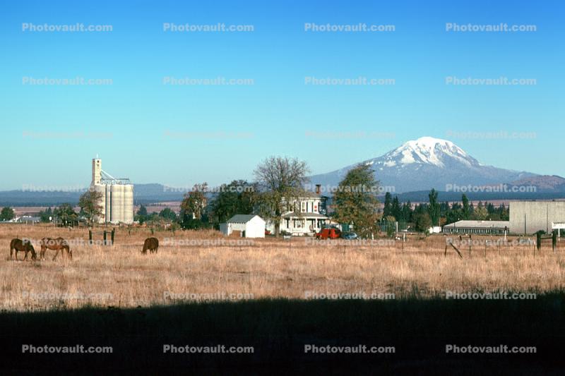 Goldendale, Mt Adams in the Distance