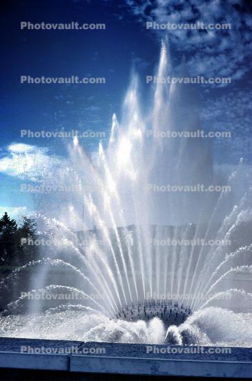 Water Fountain, Seattle