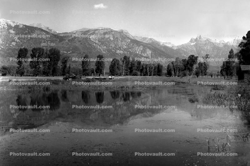 Pond, reflection, Teton Mountain Range, Snake River Ranch