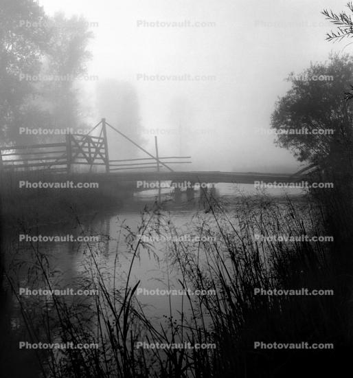 Misty Morning, bridge, fog, trees, Snake River Ranch