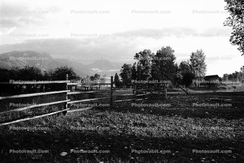 Fence, Snake River Ranch, near Jackson Hole, 1972, 1970s