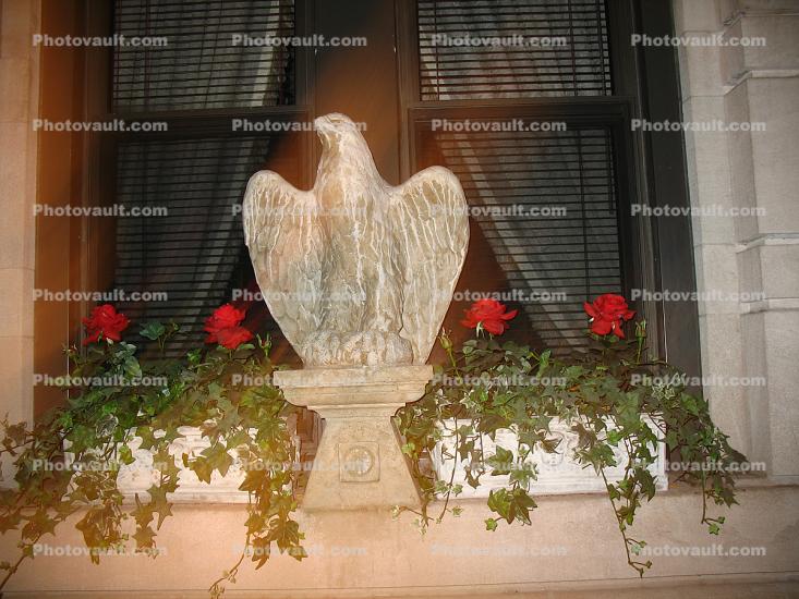 Eagle Statue, bird, Manhattan