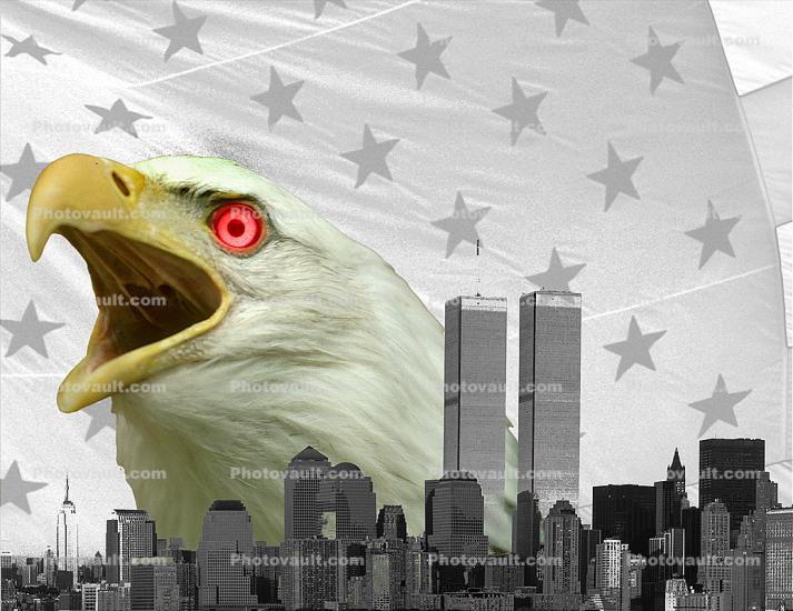 World Trade Center, Pissed off Bald Eagle, New York City