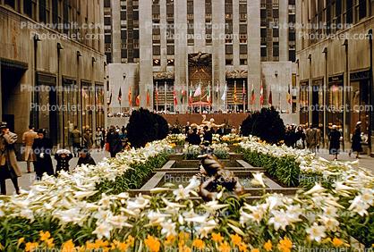 Rockefeller Plaza, flowers, flags, landmark, 1956, 1950s