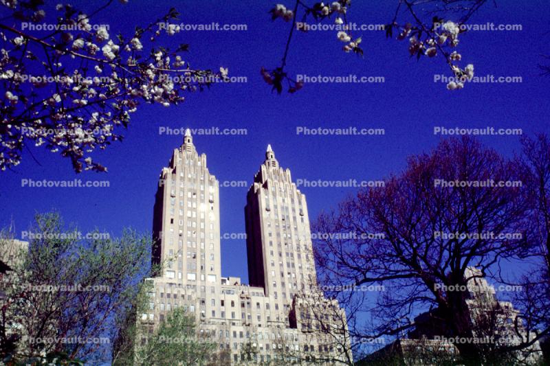skyscraper, building, springtime, spring, blossoms, trees, Manhattan