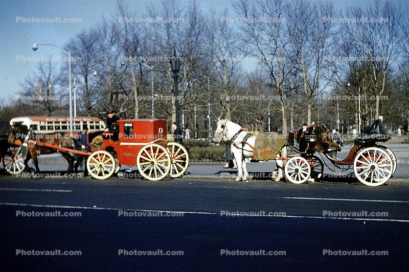 Horse Carriage, autumn, April 1960, 1960s