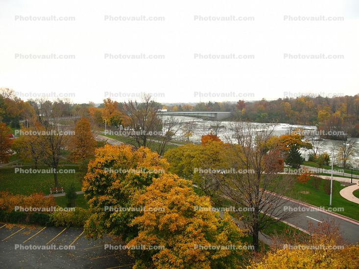 Fall Colors, Trees, City of Niagara Falls, River, autumn