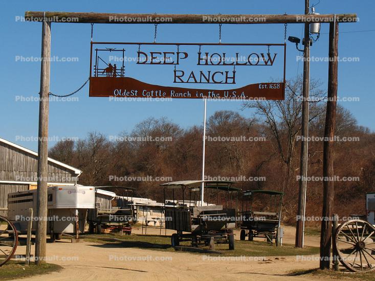 Deep Hollow Ranch, Long Island