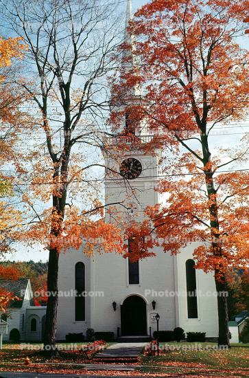 Cooperstown, Church, Trees, Steeple, autumn