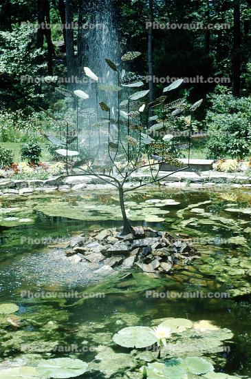 pond, toad stools, leaves, park, garden, water fountain, Sterling Forest State Park