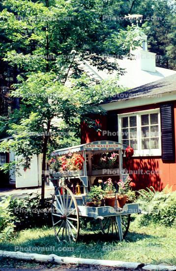 Woodstock, flower cart, home, house, building